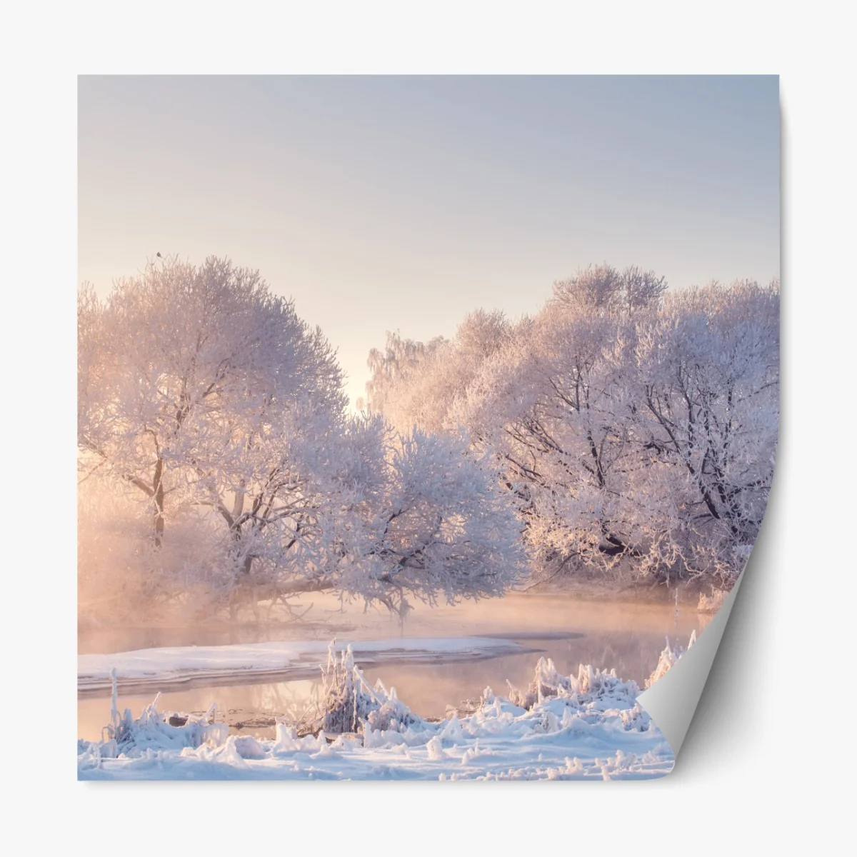 Repositionierbarer Aufkleber raureifbedeckte bäume bei sonnenaufgang – Wallnifity® Repositionierbarer Aufkleber raureifbedeckte bäume bei sonnenaufgang – Wallnifity®