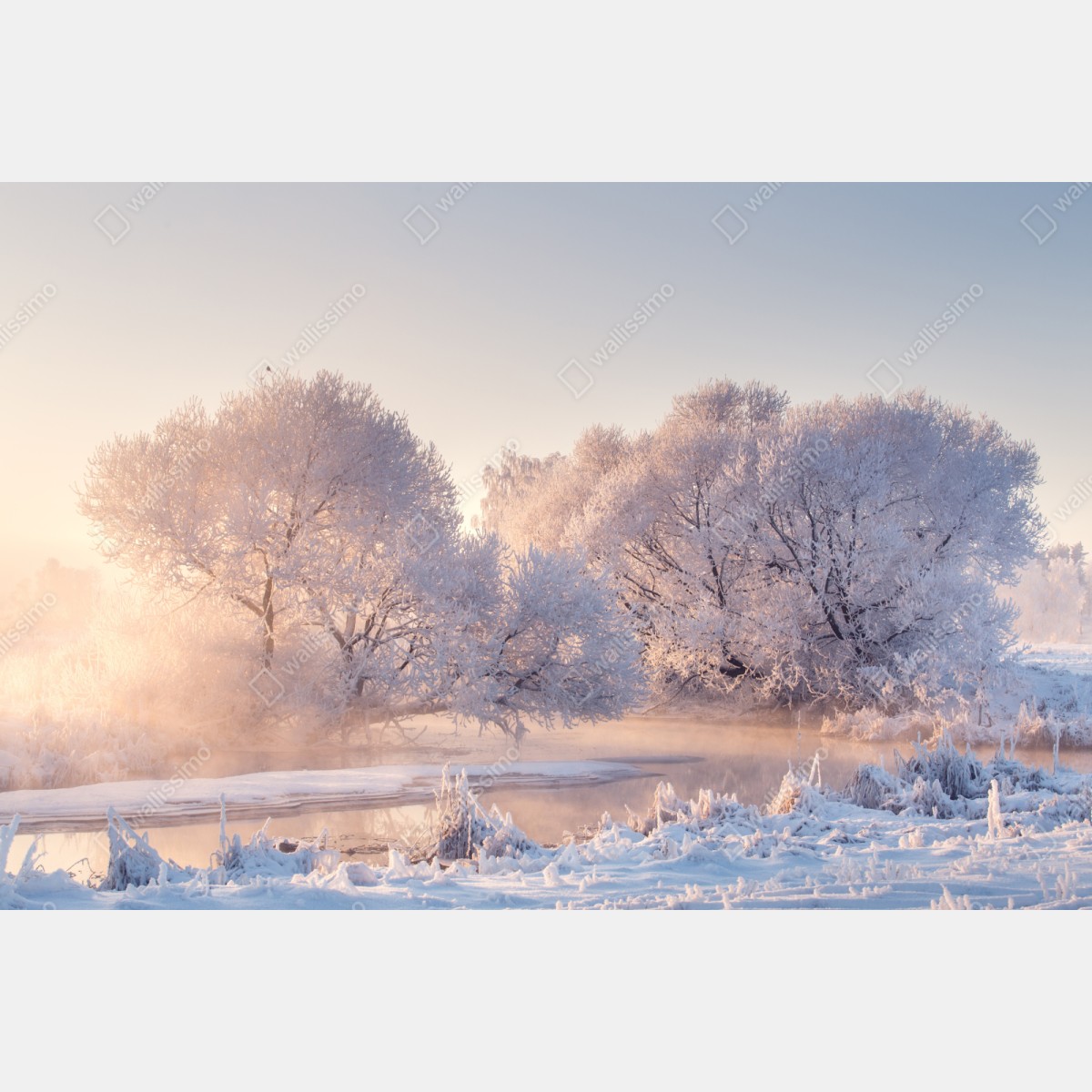 Repositionierbarer Aufkleber raureifbedeckte bäume bei sonnenaufgang – Wallnifity® Repositionierbarer Aufkleber raureifbedeckte bäume bei sonnenaufgang – Wallnifity®