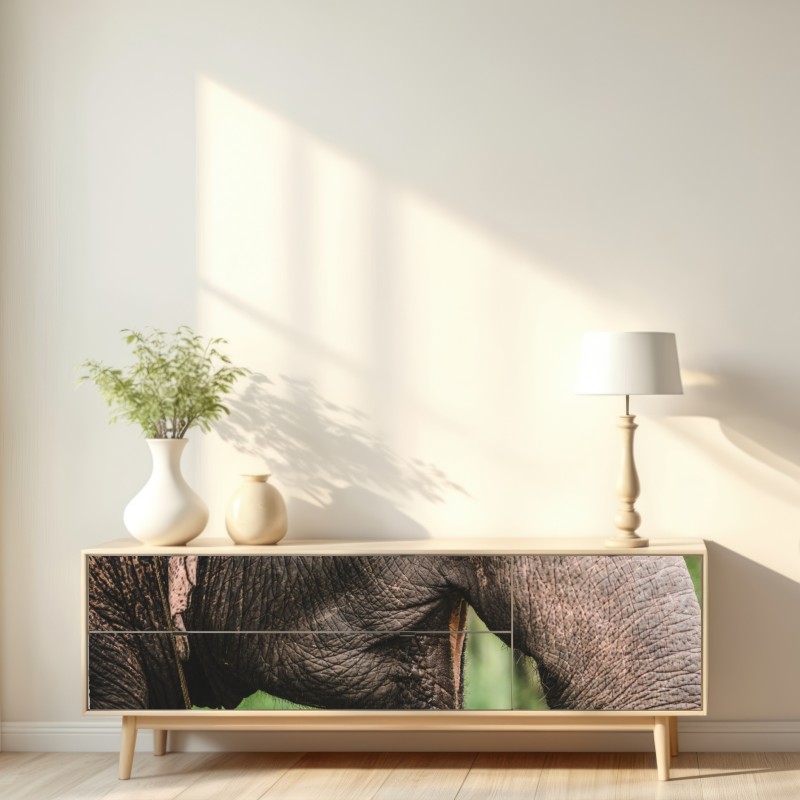 Repositionierbarer Aufkleber asiatischer elefant nahaufnahme – Wallnifity® Repositionierbarer Aufkleber asiatischer elefant nahaufnahme – Wallnifity®