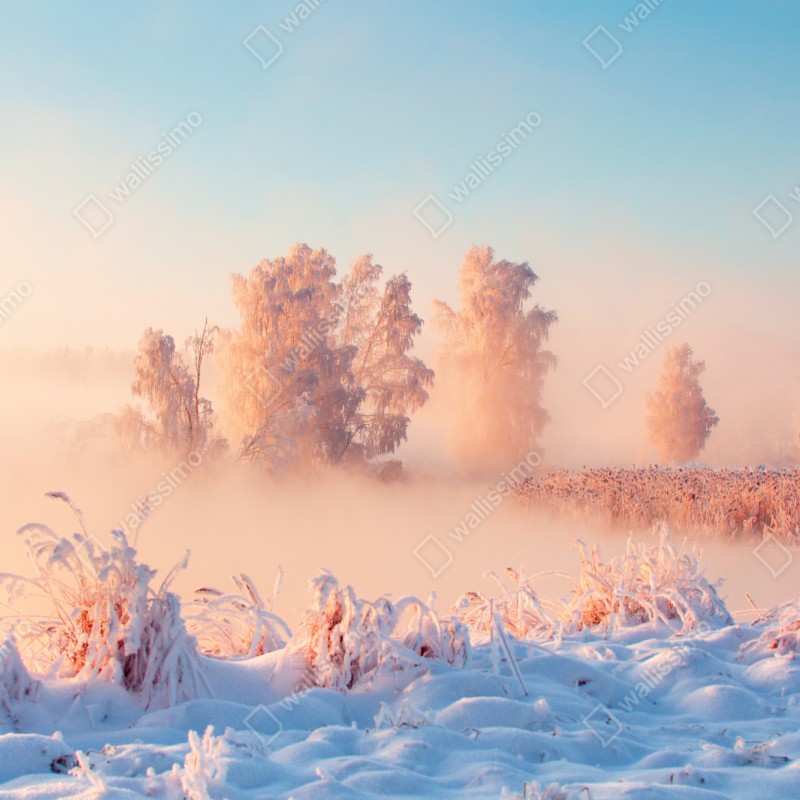 Repositionierbarer Aufkleber winterlicher sonnenaufgang über einer frostigen wiese – Wallnifity® Repositionierbarer Aufkleber winterlicher sonnenaufgang über einer frostigen wiese – Wallnifity®