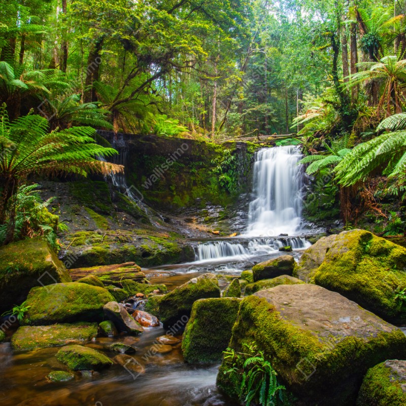 Repositionierbarer Aufkleber üppiger waldwasserfall – Wallnifity® Repositionierbarer Aufkleber üppiger waldwasserfall – Wallnifity®