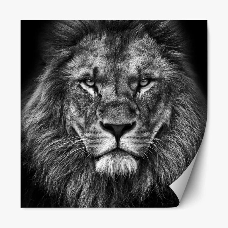 Repositionierbarer Aufkleber majestätisches löwenportrait in monochrom – Wallnifity® Repositionierbarer Aufkleber majestätisches löwenportrait in monochrom – Wallnifity®