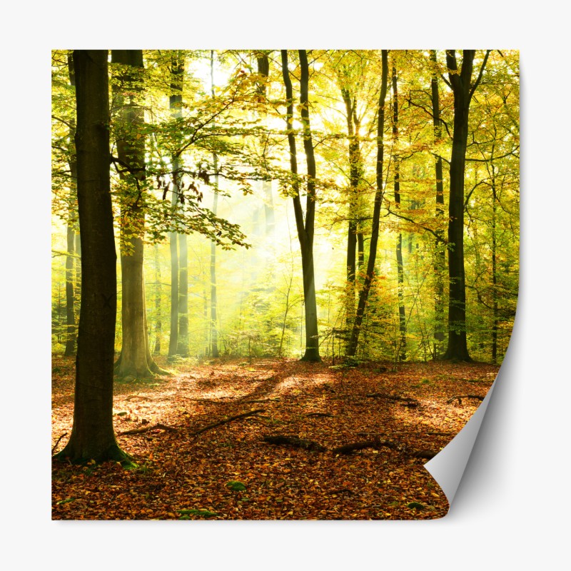 Repositionierbarer Aufkleber elegantes beiges damastmuster – Wallnifity®