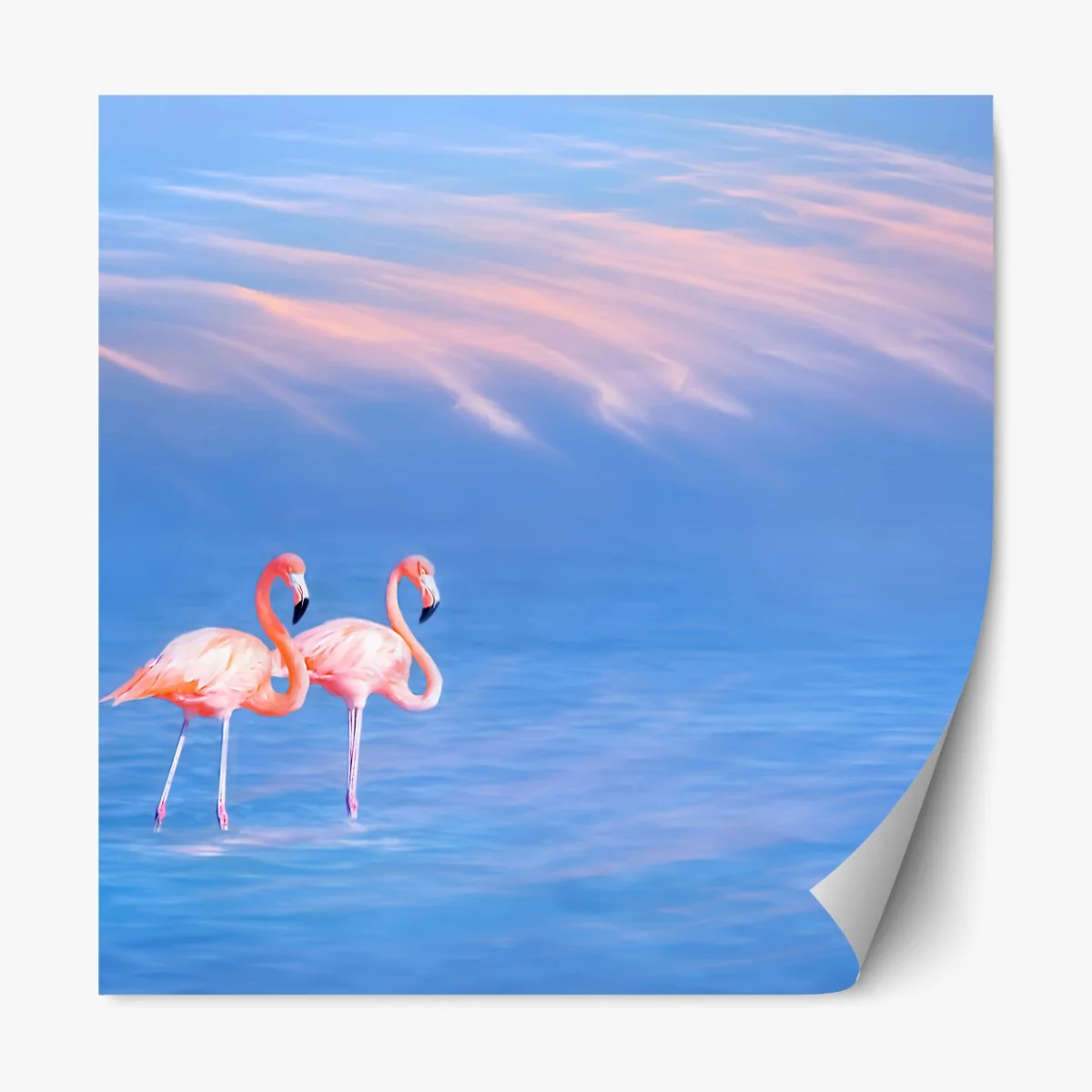 Repositionierbarer Aufkleber rosa flamingos auf pastellfarbenem wasser – Wallnifity® Repositionierbarer Aufkleber rosa flamingos auf pastellfarbenem wasser – Wallnifity®