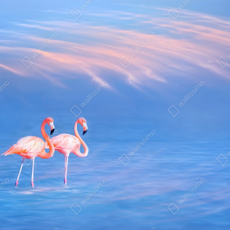 Repositionierbarer Aufkleber rosa flamingos auf pastellfarbenem wasser – Wallnifity® Repositionierbarer Aufkleber rosa flamingos auf pastellfarbenem wasser – Wallnifity®