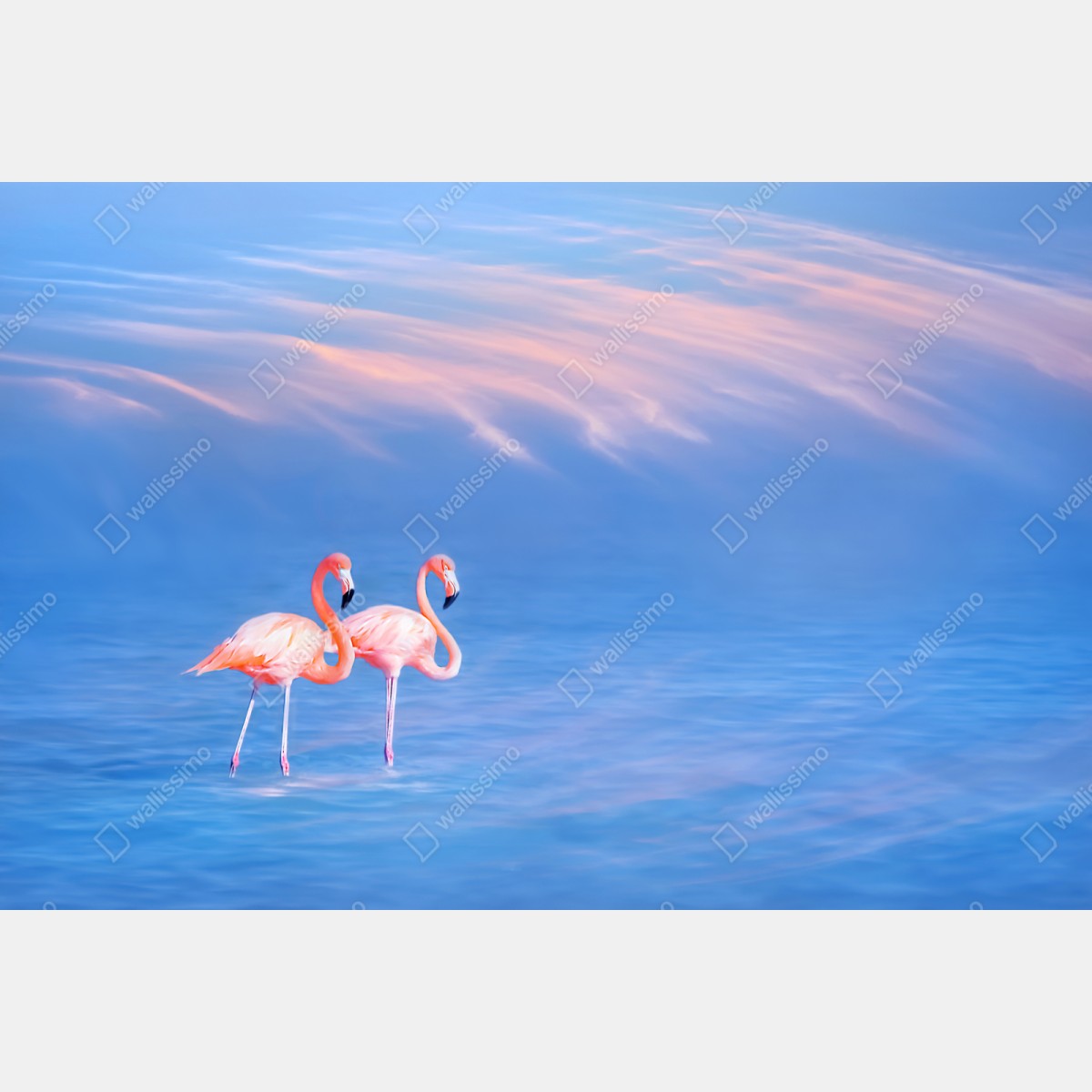 Repositionierbarer Aufkleber rosa flamingos auf pastellfarbenem wasser – Wallnifity® Repositionierbarer Aufkleber rosa flamingos auf pastellfarbenem wasser – Wallnifity®