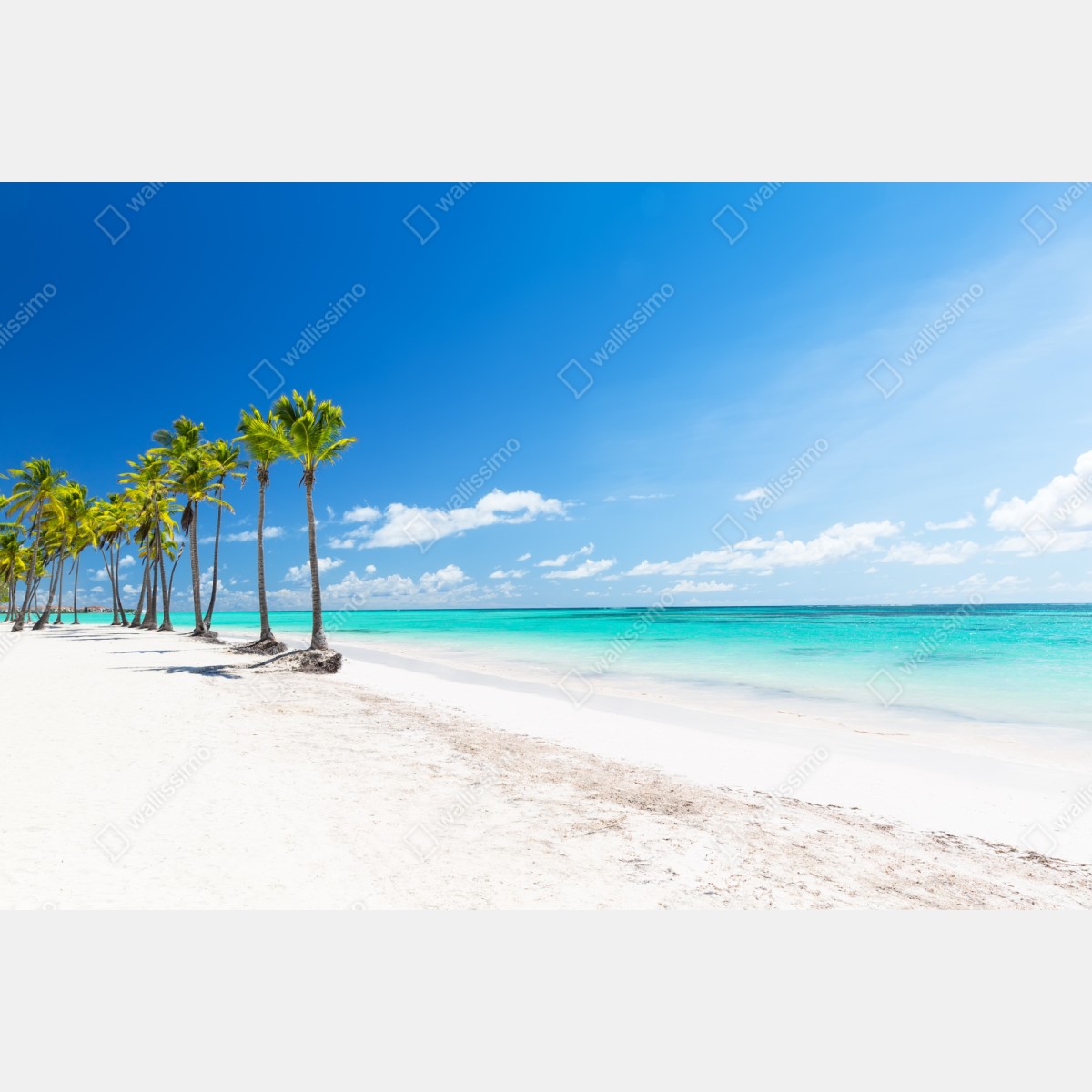 Repositionierbarer Aufkleber palmen am strand von Punta Cana – Wallnifity® Repositionierbarer Aufkleber palmen am strand von Punta Cana – Wallnifity®