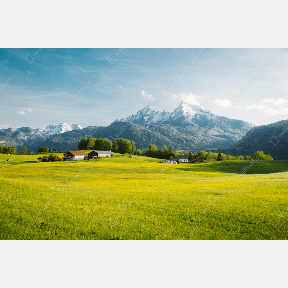 Repositionierbarer Aufkleber alpwiese unter schneebedeckten gipfeln – Wallnifity® Repositionierbarer Aufkleber alpwiese unter schneebedeckten gipfeln – Wallnifity®