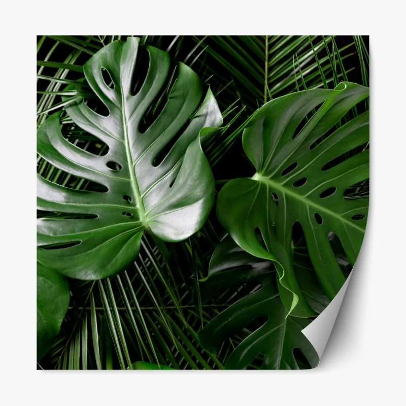 Repositionierbarer Aufkleber üppige monstera-blätter