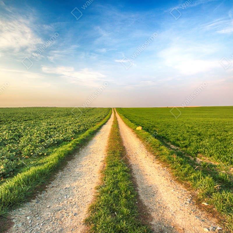 Repositionierbarer Aufkleber feldweg durch grüne felder – Wallnifity® Repositionierbarer Aufkleber feldweg durch grüne felder – Wallnifity®