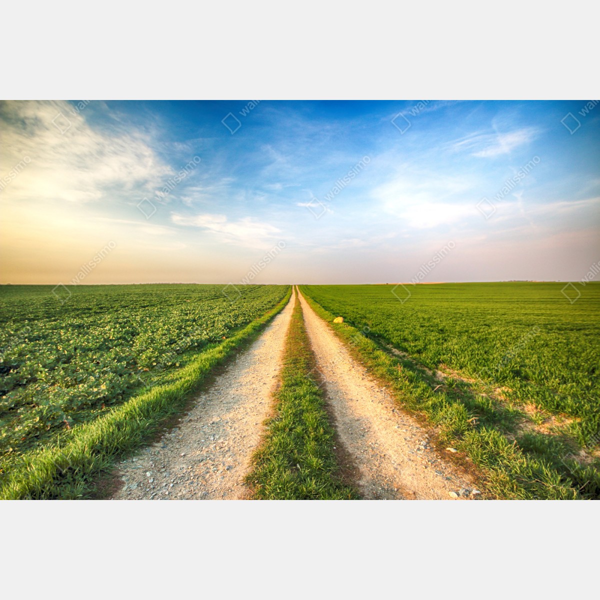 Repositionierbarer Aufkleber feldweg durch grüne felder – Wallnifity® Repositionierbarer Aufkleber feldweg durch grüne felder – Wallnifity®