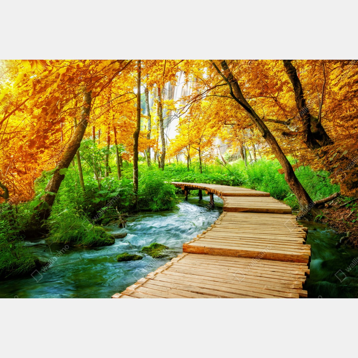 Repositionierbarer Aufkleber goldener steg durch den wald bei Plitvicer Seen – Wallnifity® Repositionierbarer Aufkleber goldener steg durch den wald bei Plitvicer Seen – Wallnifity®