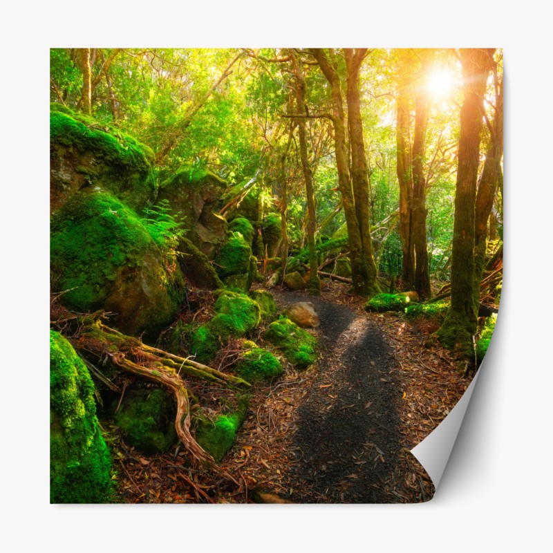 Repositionierbarer Aufkleber verzauberter grüner waldbach – Wallnifity®