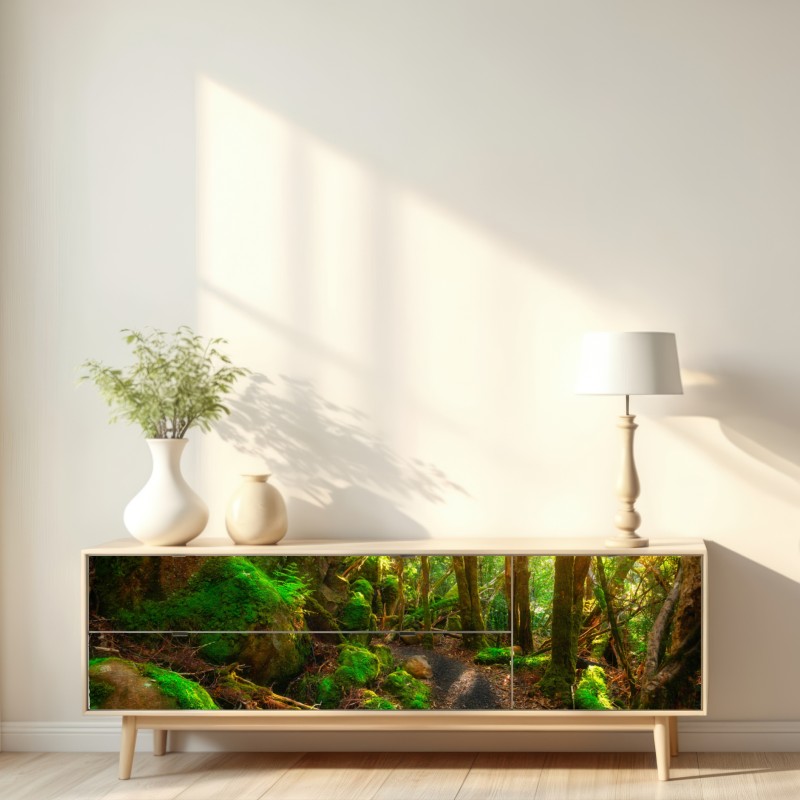 Repositionierbarer Aufkleber sonniger pfad im regenwald der Tasman-Halbinsel, Tasmanien – Wallnifity® Repositionierbarer Aufkleber sonniger pfad im regenwald der Tasman-Halbinsel, Tasmanien – Wallnifity®