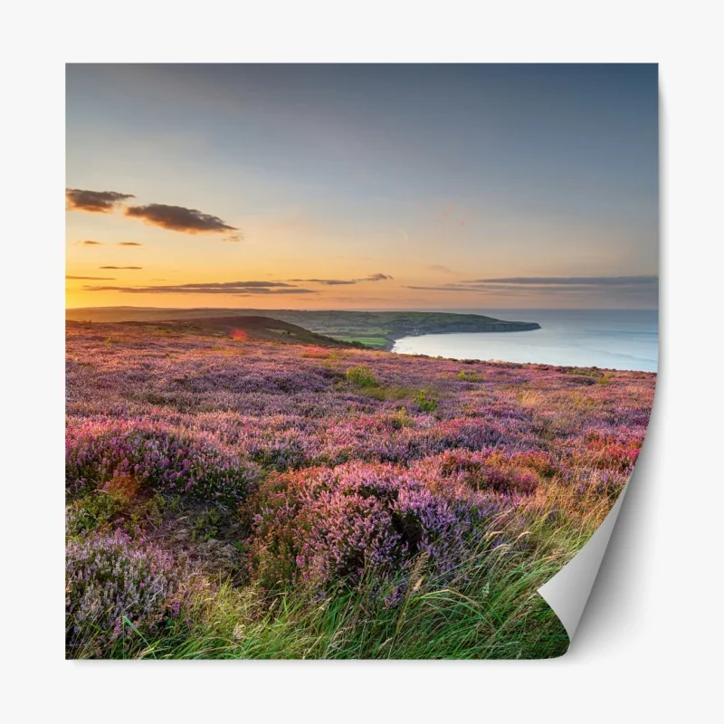 Repositionierbarer Aufkleber sonnenuntergang über der heide auf den North York Moors