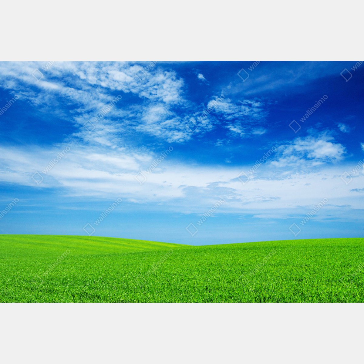 Repositionierbarer Aufkleber grüne wiese unter blauem himmel – Wallnifity® Repositionierbarer Aufkleber grüne wiese unter blauem himmel – Wallnifity®