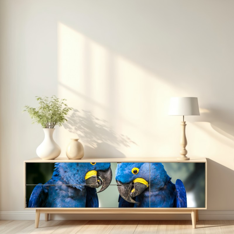 Repositionierbarer Aufkleber paar blauer aras - nahaufnahme – Wallnifity® Repositionierbarer Aufkleber paar blauer aras - nahaufnahme – Wallnifity®