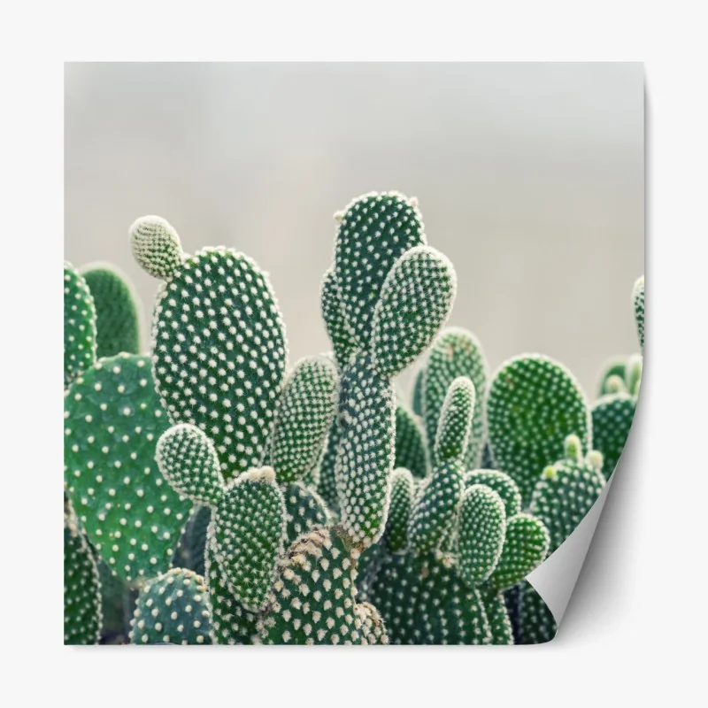 Repositionierbarer Aufkleber nahaufnahme eines opuntienkaktus