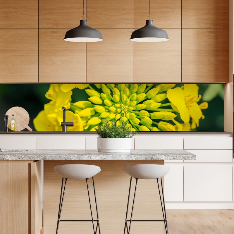 Repositionierbarer Aufkleber lebhafte gelbe rapsblüte im nahen makro – Wallnifity® Repositionierbarer Aufkleber lebhafte gelbe rapsblüte im nahen makro – Wallnifity®