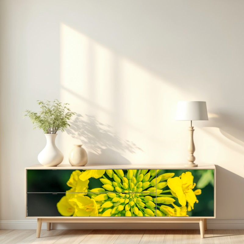 Repositionierbarer Aufkleber lebhafte gelbe rapsblüte im nahen makro – Wallnifity® Repositionierbarer Aufkleber lebhafte gelbe rapsblüte im nahen makro – Wallnifity®