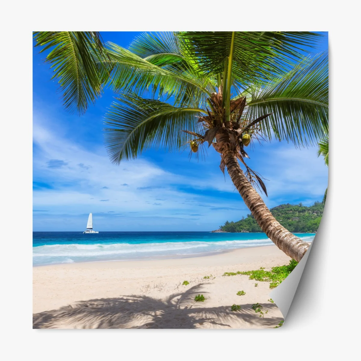Repositionierbarer Aufkleber tropischer strand mit palme – Wallnifity® Repositionierbarer Aufkleber tropischer strand mit palme – Wallnifity®