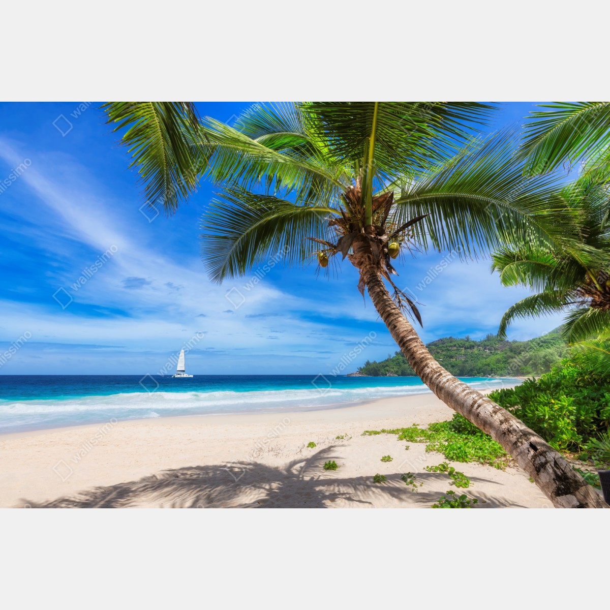 Repositionierbarer Aufkleber tropischer strand mit palme – Wallnifity® Repositionierbarer Aufkleber tropischer strand mit palme – Wallnifity®