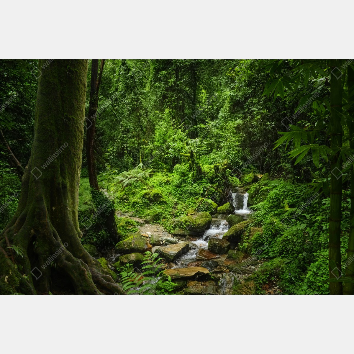 Repositionierbarer Aufkleber üppiger grüner waldwasserfall – Wallnifity® Repositionierbarer Aufkleber üppiger grüner waldwasserfall – Wallnifity®