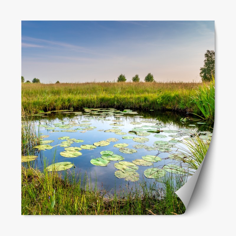 Repositionierbarer Aufkleber ruhiger grüner steg am see – Wallnifity®