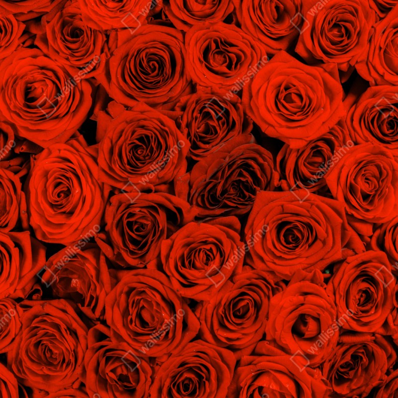 Repositionierbarer Aufkleber prächtiger strauß roter rosen – Wallnifity® Repositionierbarer Aufkleber prächtiger strauß roter rosen – Wallnifity®