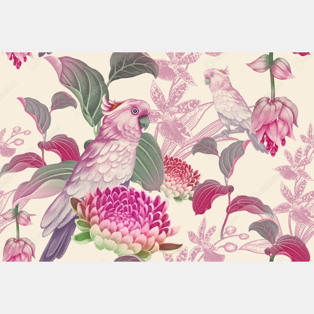 Repositionierbarer Aufkleber rosa papagei und chrysantheme - botanisches motiv – Wallnifity® Repositionierbarer Aufkleber rosa papagei und chrysantheme - botanisches motiv – Wallnifity®