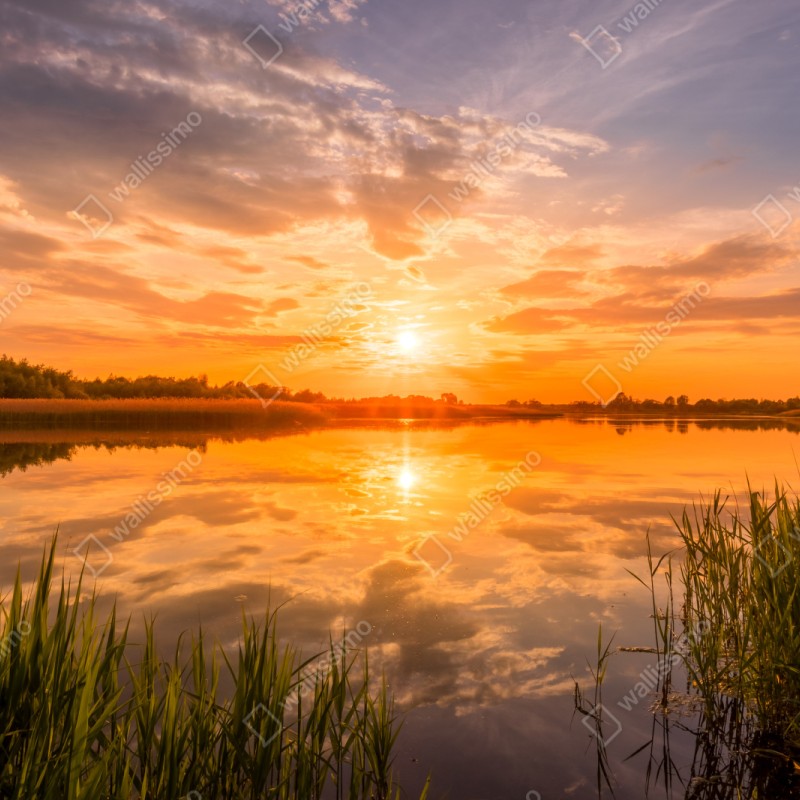 Repositionierbarer Aufkleber goldener sonnenuntergang über idyllischem see – Wallnifity® Repositionierbarer Aufkleber goldener sonnenuntergang über idyllischem see – Wallnifity®