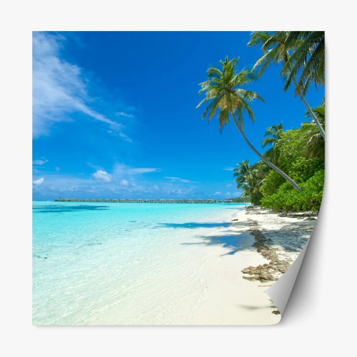 Repositionierbarer Aufkleber tropischer strand auf den Malediven – Wallnifity® Repositionierbarer Aufkleber tropischer strand auf den Malediven – Wallnifity®