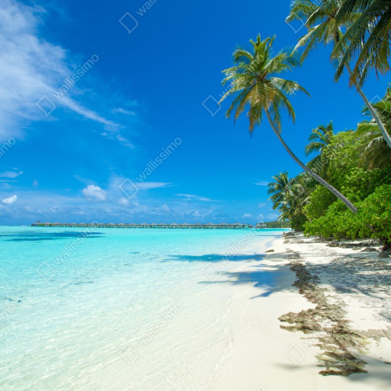 Repositionierbarer Aufkleber tropischer strand auf den Malediven – Wallnifity® Repositionierbarer Aufkleber tropischer strand auf den Malediven – Wallnifity®