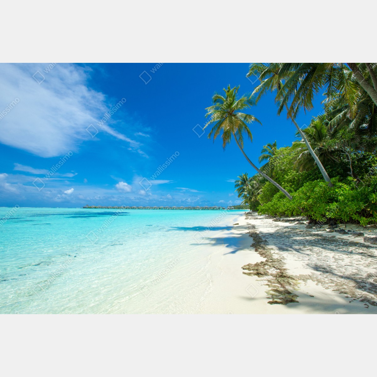 Repositionierbarer Aufkleber tropischer strand auf den Malediven – Wallnifity® Repositionierbarer Aufkleber tropischer strand auf den Malediven – Wallnifity®