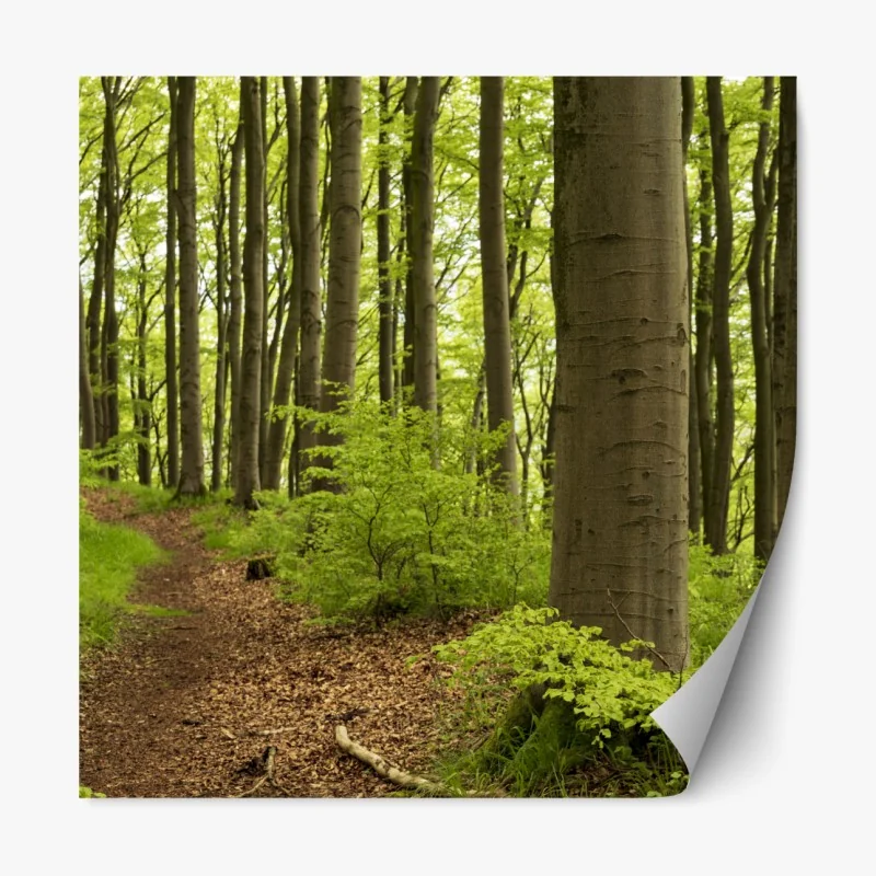 Repositionierbarer Aufkleber tropisches bananenblattmuster – Wallnifity®