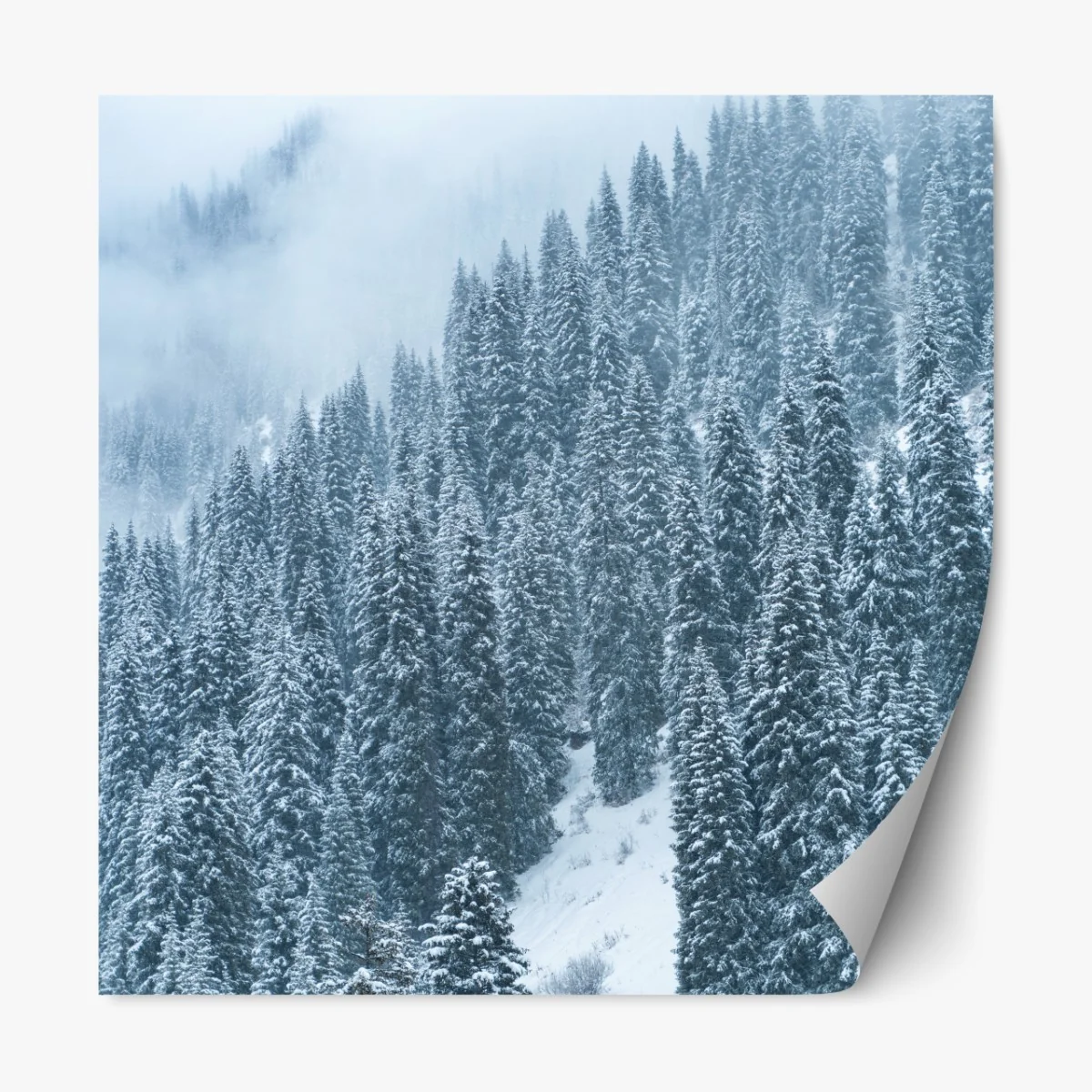 Repositionierbarer Aufkleber nebeliger schneebedeckter kiefernwald – Wallnifity® Repositionierbarer Aufkleber nebeliger schneebedeckter kiefernwald – Wallnifity®