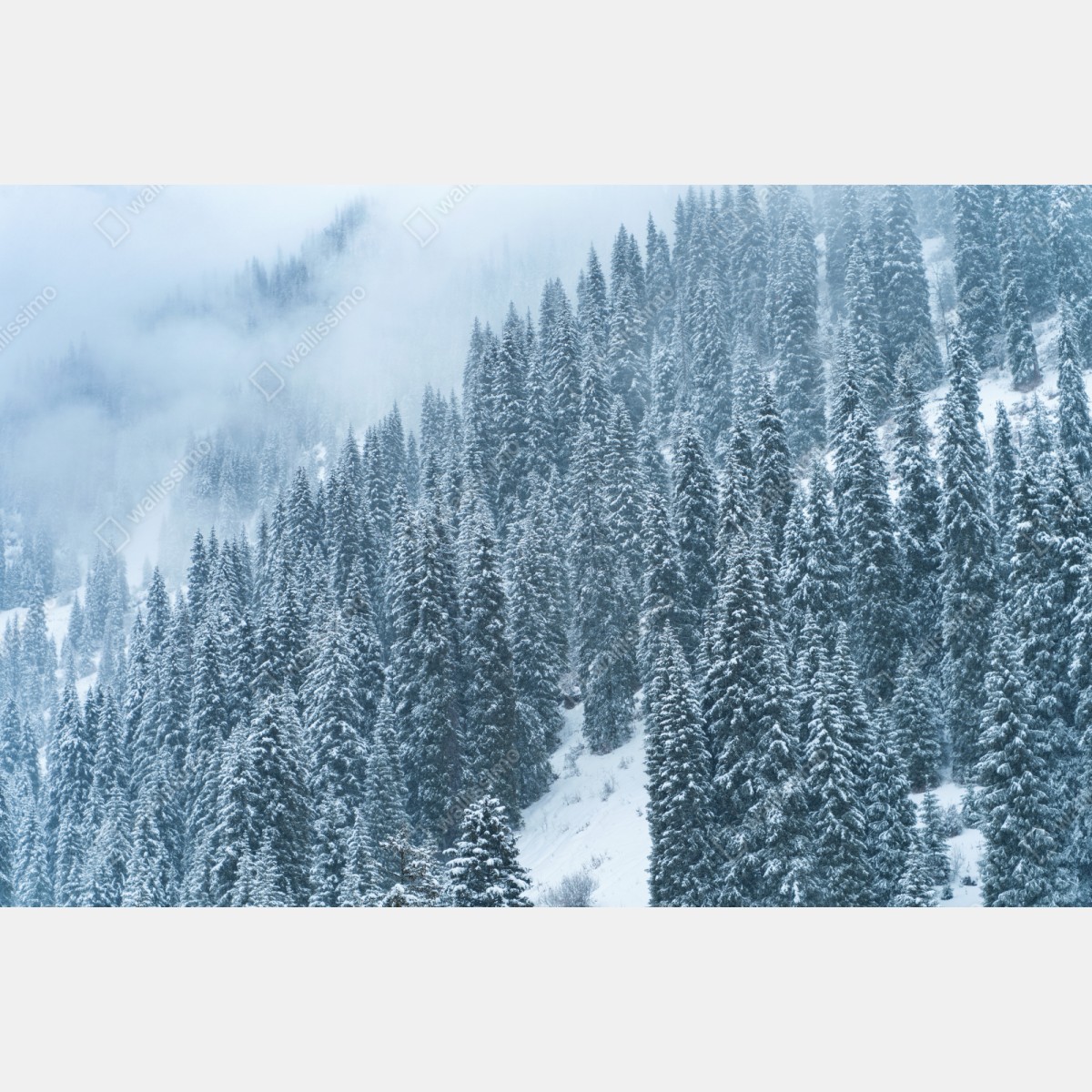 Repositionierbarer Aufkleber nebeliger schneebedeckter kiefernwald – Wallnifity® Repositionierbarer Aufkleber nebeliger schneebedeckter kiefernwald – Wallnifity®