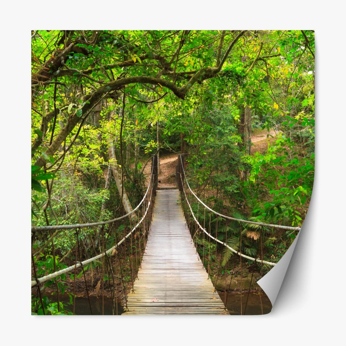 Repositionierbarer Aufkleber hängende holzbrücke im grünen wald – Wallnifity® Repositionierbarer Aufkleber hängende holzbrücke im grünen wald – Wallnifity®