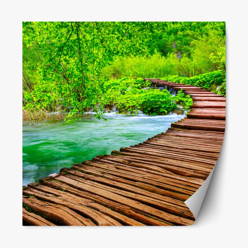 Repositionierbarer Aufkleber weg durch den bambushain von Arashiyama – Wallnifity®