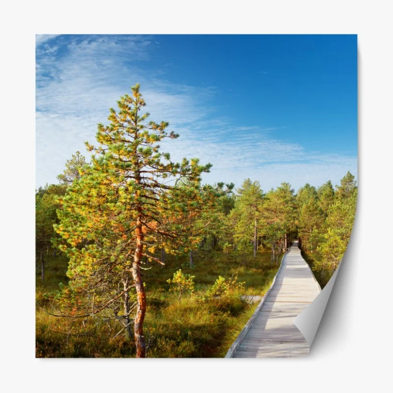 Repositionierbarer Aufkleber sonniger steg durch den kiefernwald