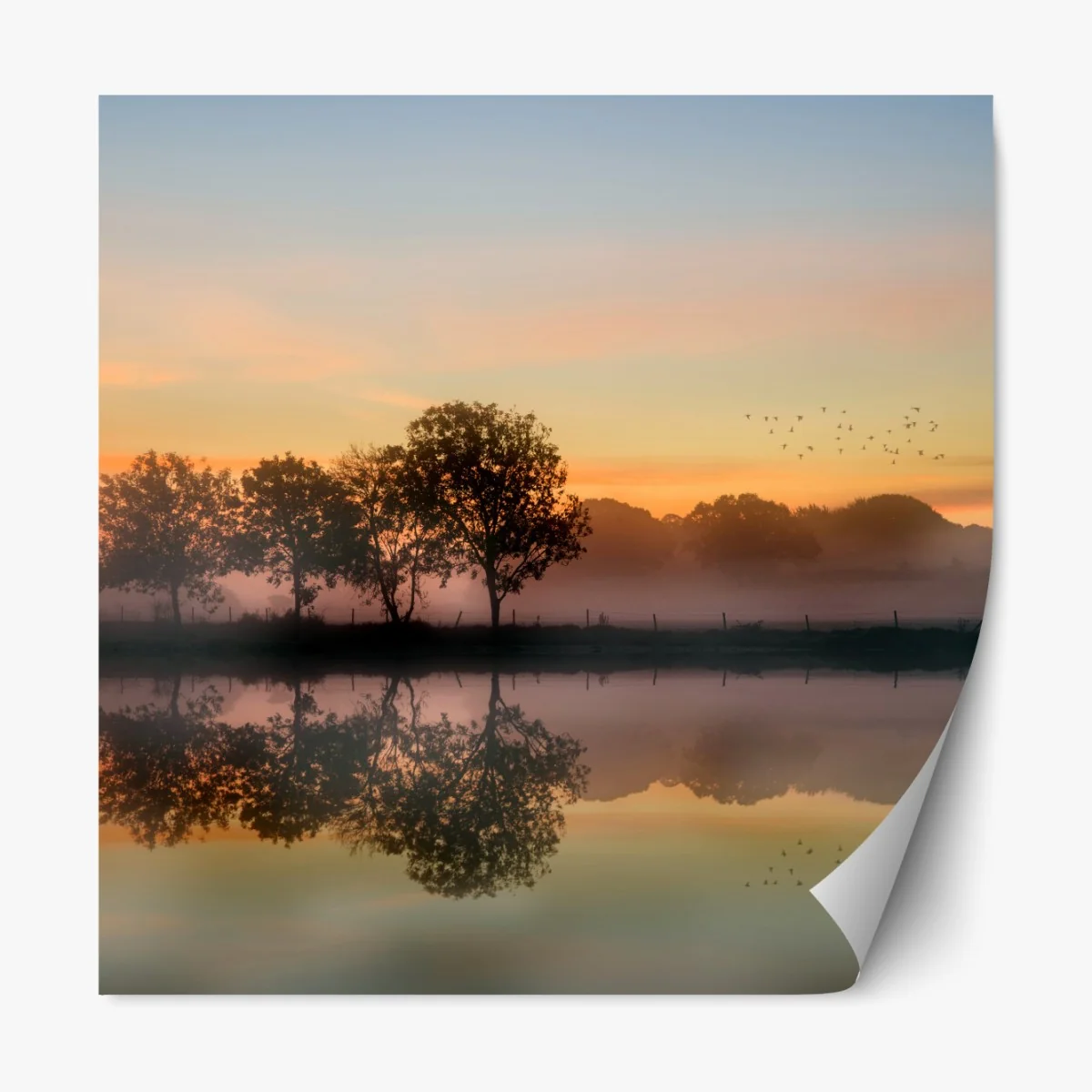 Repositionierbarer Aufkleber nebliger herbstlicher sonnenaufgang über Englischer landschaft – Wallnifity® Repositionierbarer Aufkleber nebliger herbstlicher sonnenaufgang über Englischer landschaft – Wallnifity®