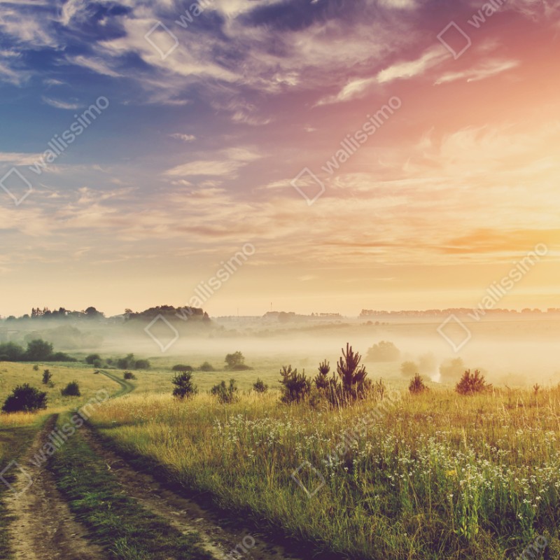 Repositionierbarer Aufkleber nebeliger sonnenaufgang über einer ländlichen wiese – Wallnifity® Repositionierbarer Aufkleber nebeliger sonnenaufgang über einer ländlichen wiese – Wallnifity®