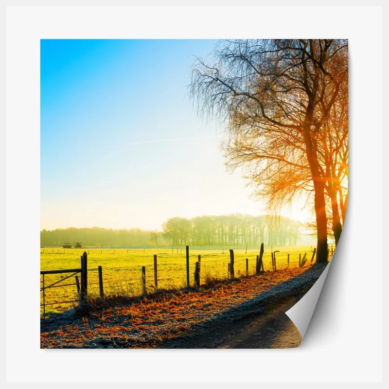 Repositionierbarer Aufkleber sonnenbeschienener landweg durch herbstliche wiese