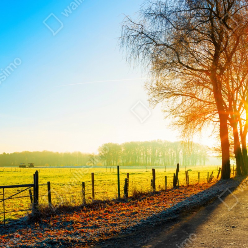 Repositionierbarer Aufkleber sonnenbeschienener landweg durch herbstliche wiese – Wallnifity® Repositionierbarer Aufkleber sonnenbeschienener landweg durch herbstliche wiese – Wallnifity®