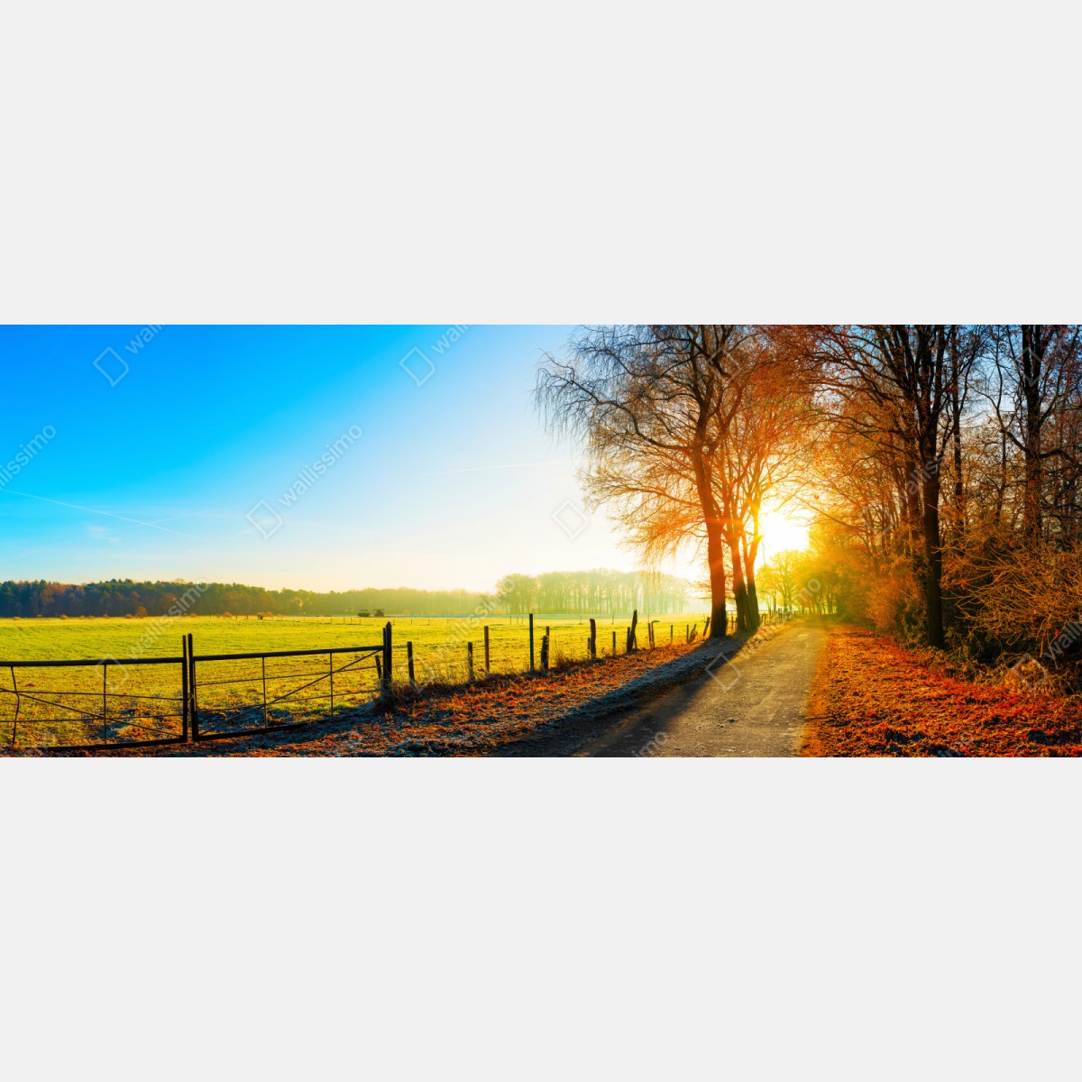 Repositionierbarer Aufkleber sonnenbeschienener landweg durch herbstliche wiese – Wallnifity® Repositionierbarer Aufkleber sonnenbeschienener landweg durch herbstliche wiese – Wallnifity®