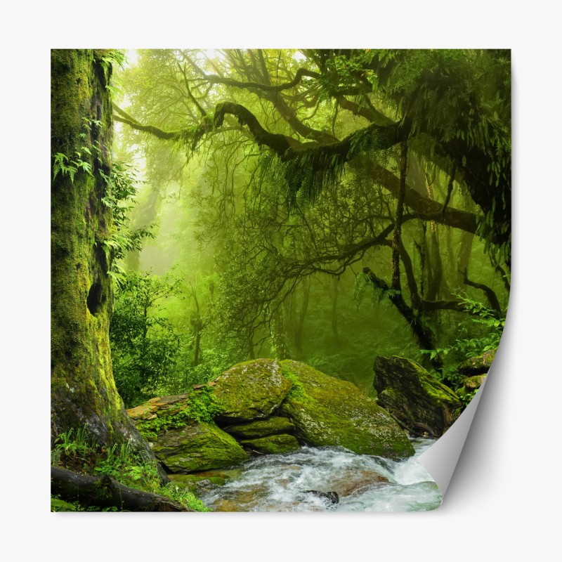 Repositionierbarer Aufkleber majestätische fjordlandschaft – Wallnifity®