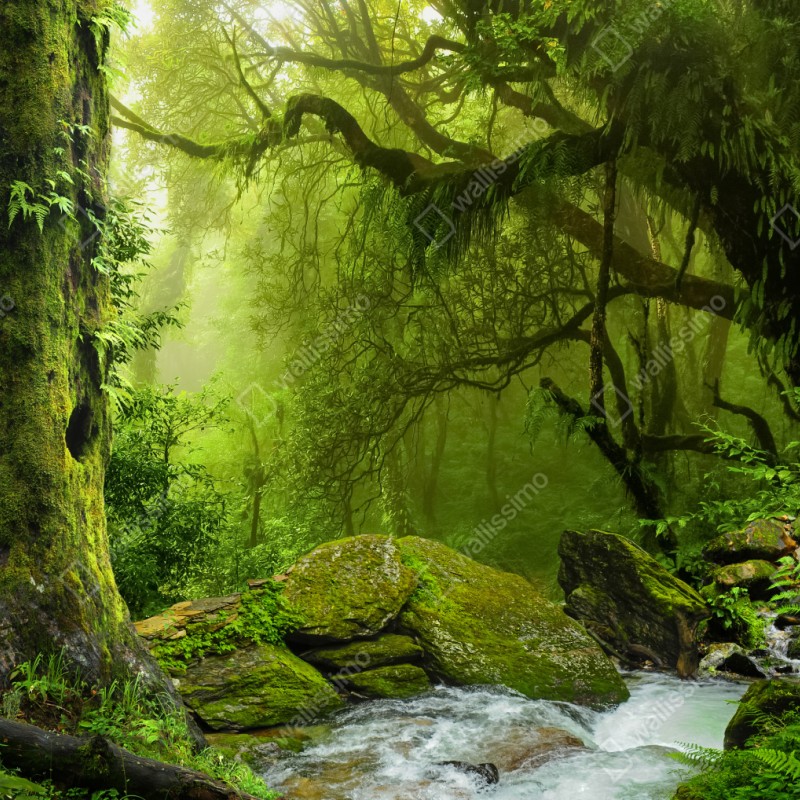 Repositionierbarer Aufkleber verzauberter grüner waldbach – Wallnifity® Repositionierbarer Aufkleber verzauberter grüner waldbach – Wallnifity®
