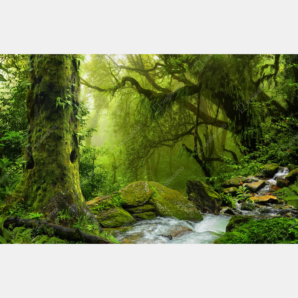 Repositionierbarer Aufkleber verzauberter grüner waldbach – Wallnifity® Repositionierbarer Aufkleber verzauberter grüner waldbach – Wallnifity®