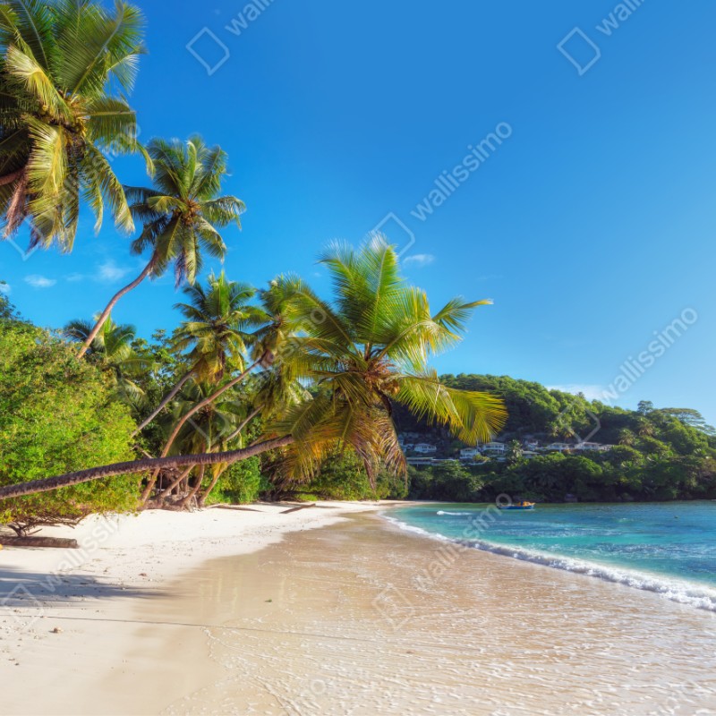 Repositionierbarer Aufkleber tropischer palmstrand – Wallnifity® Repositionierbarer Aufkleber tropischer palmstrand – Wallnifity®