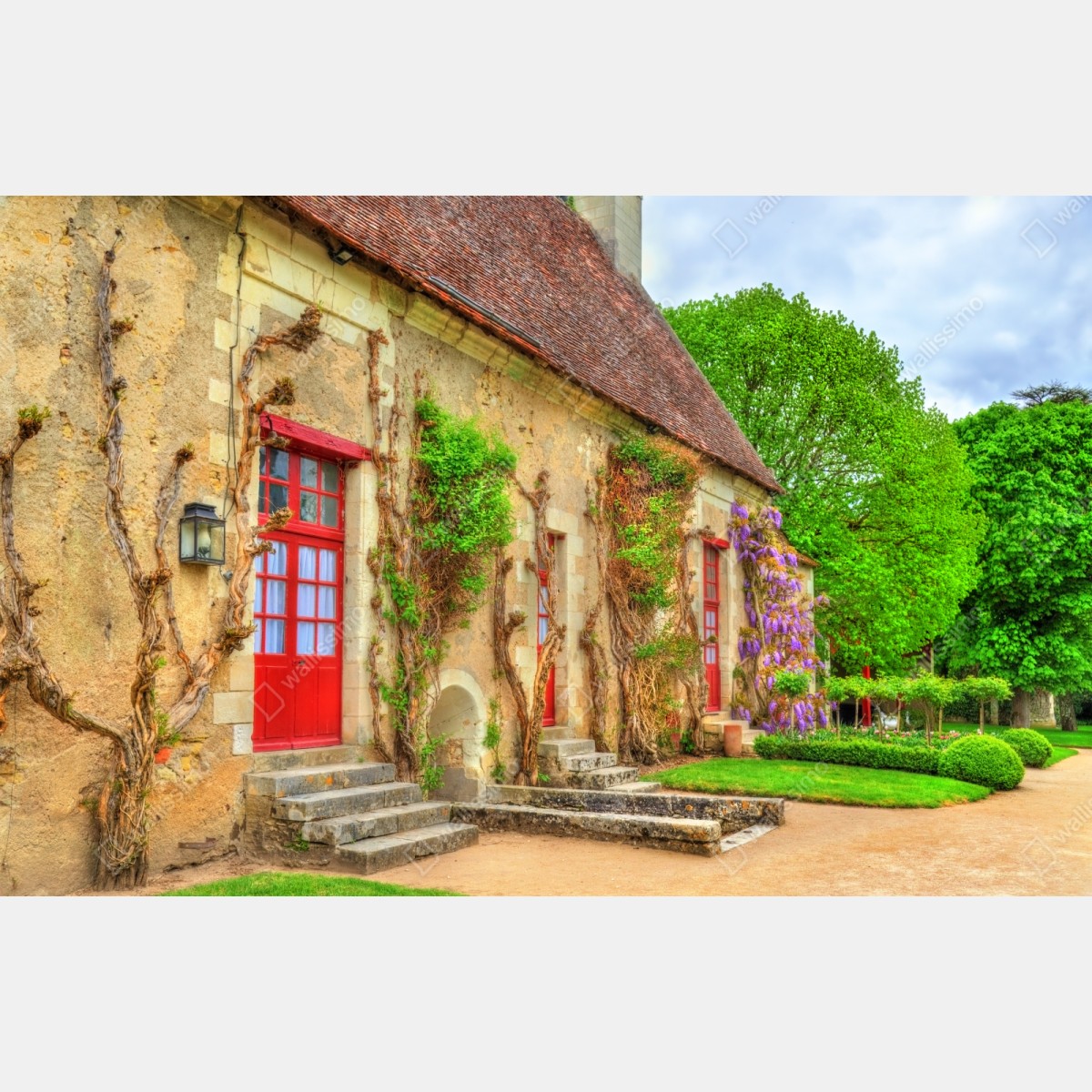 Repositionierbarer Aufkleber reizendes landhaus mit blühender glyzinie – Wallnifity® Repositionierbarer Aufkleber reizendes landhaus mit blühender glyzinie – Wallnifity®